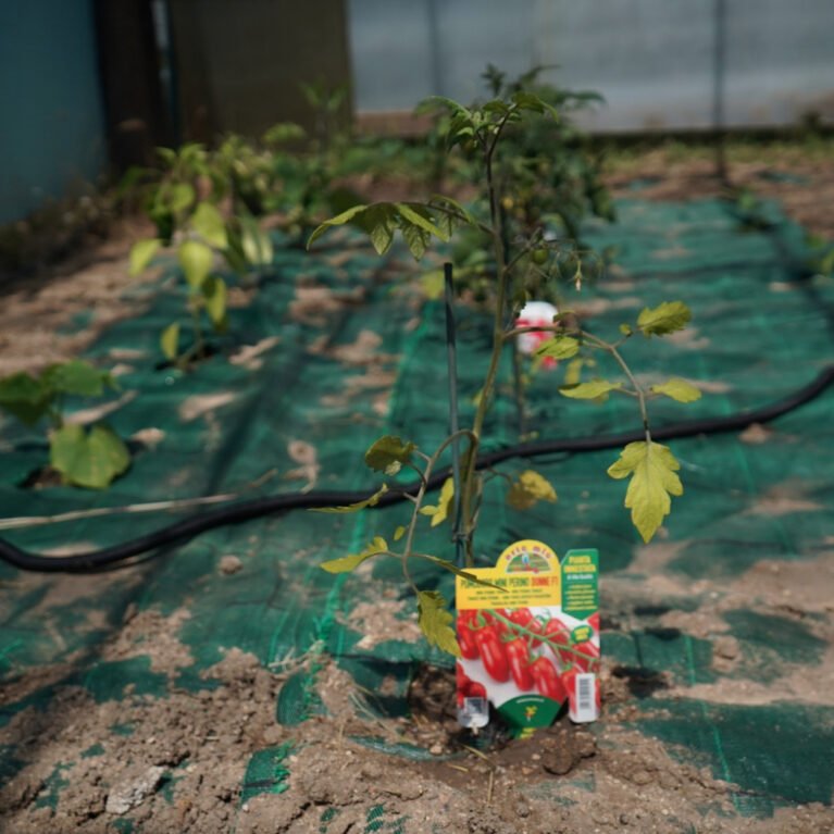 Curso de Operaciones Generales de Jardinería