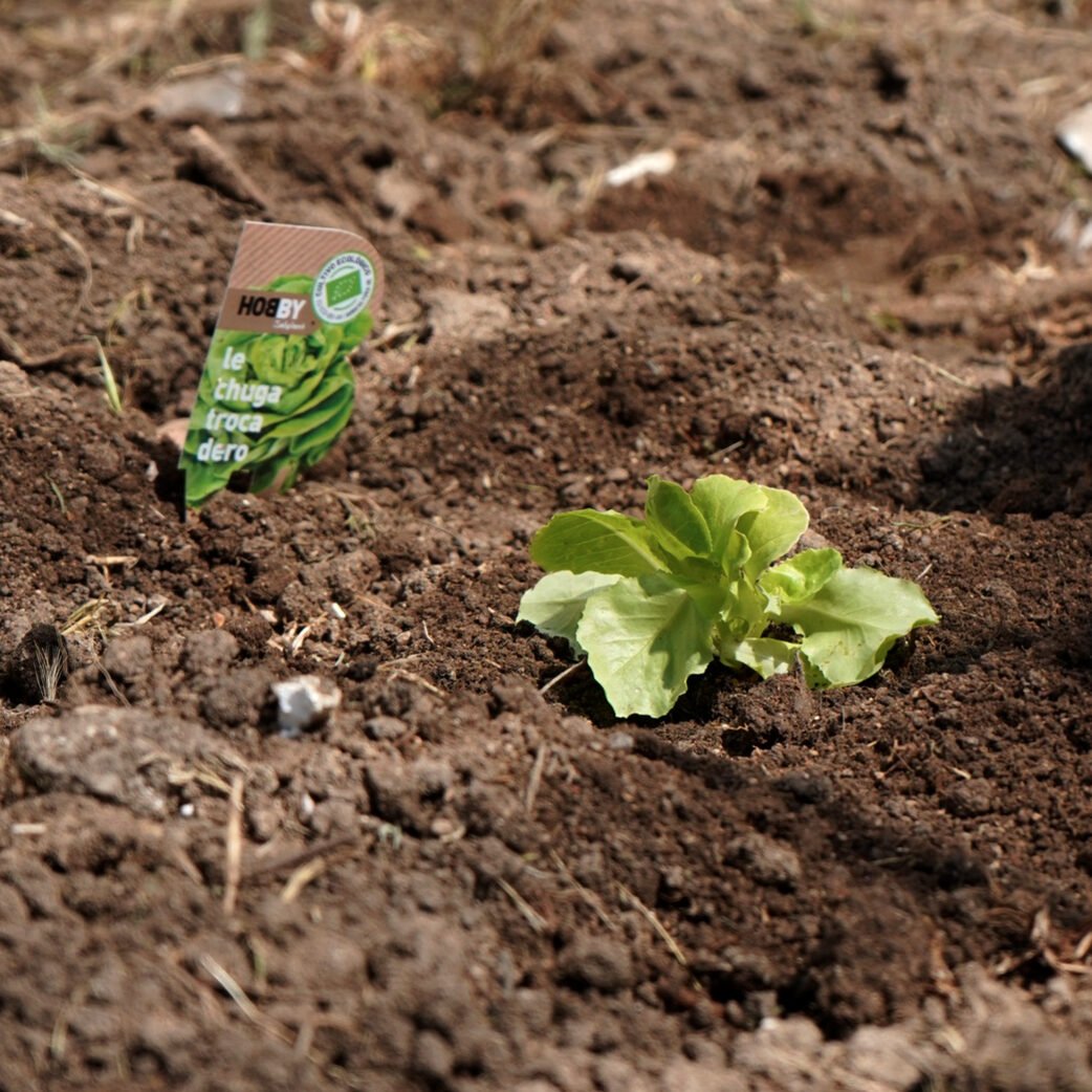 AGAO0208 - Instalación y Mantenimiento de Jardines y Zonas Verdes
